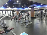 고릴라멀티짐 : 고릴라 멀티짐 행당점 오후 인포 데스크 구합니다 - No.1 알바천국, 천만가지 알바솔루션 [알바천국] 서울 성동구... 