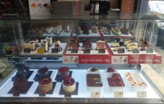 투썸플레이스 대전신성점 : 투썸플레이스 대전신성점 스텝 /아르바이트 채용 - 알바천국 [알바천국] 대전 유성구 / 투썸플레이스 대전신성점... 