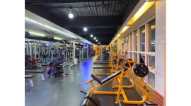 머슬킹 휘트니스 : 헬스장알바채용합니다. - 알바천국 [알바천국] 서울 광진구 / 머슬킹 휘트니스 / 헬스장알바채용합니다. / 9,160원