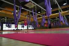 - No.1 알바천국, 천만가지 알바솔루션 [알바천국] 부산 동구 / 퍼스트랩 / 퍼스트랩 휘트니스에서 함께할 트레이너 선생님을 모십니다. / 36,000... 