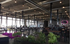 꺼멍목장 : 【꺼멍목장】홀알바모집 출퇴근차량운행 - 알바선진국 [알바천국] 제주 서귀포시 / 꺼멍목장 / 【꺼멍목장】홀알바모집... 