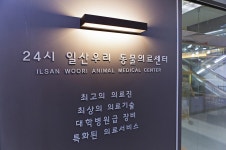 24시 일산우리 동물의료센터 : [일산]24시 일산우리 동물의료센터에서 ＇주간 수의테크니션＇ 를 모집합니다. - 알바천국 [알바천국] 경기... 
