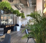 카페304 : 카페304 (본점,봉선점)바리스타 / 마감 파트타이머... 서구 / 카페304 / 카페304 (본점,봉선점)바리스타 / 마감 파트타이머... 