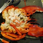 주식회사 아이라이크잇 : (주)아이라이크잇/ 서빙,주방 정직원 및 알바 급구 - 알바선진국 [알바천국] 부산 해운대구 / 주식회사 아이라이크잇... 