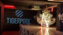 Tigerpool(타이거풀) : tigerpool(타이거풀) 아르바이트구합니다... Tigerpool(타이거풀) / tigerpool(타이거풀) 아르바이트구합니다 / 9... 