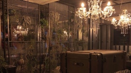 Tigerpool(타이거풀) : tigerpool(타이거풀) 아르바이트구합니다... Tigerpool(타이거풀) / tigerpool(타이거풀) 아르바이트구합니다 / 9... 