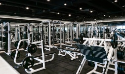 뉴핏휘트니스 : 울산 남구 삼산동 뉴핏휘트니스 4호점 프리... 뉴핏휘트니스 / 울산 남구 삼산동 뉴핏휘트니스 4호점 프리 트레이너모집 / 10... 