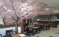 - 알바선진국 [알바천국] 대구 북구 / 꼬꼬토리 / [침산동] 찜닭n치킨 꼬꼬토리에서 함께 일할 스텝 구합니다. / 7,700원 이상