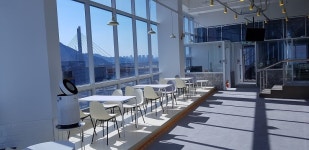 Peter Pet Cafe : 대구 북구 피터펫애견카페 대구점 주말 직원(파트타임) 모집합니다 - 알바선진국 [알바천국] 대구 북구 / Peter Pet Cafe... 