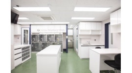 달래동물의료센터 : 한남동 달래동물의료센터 수의테크니션... 달래동물의료센터 / 한남동 달래동물의료센터 수의테크니션(수의간호사)... 