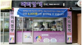구피염색방금산점 | 구피샵 한솔점 : [구피샵 염색방]에서 함께 일할 분을 구합니다 - 알바천국 [알바천국] 세종 전체 / 구피샵 한솔점 / [구피샵 염색방]에서 함께...