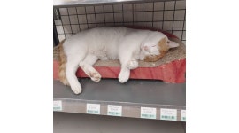 CU 홍성제일점 : 평일 아르바이트 구해요 - 알바천국, 쓸수록 천국 [알바천국] 충남 홍성군 / CU 홍성제일점 / 평일 아르바이트 구해요 / 8,590원