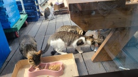 지에스25 파주한라본점 : GS25편의점  화,수 오후 아르바이트 모집 - 알바천국 [알바천국] 경기 파주시 / 지에스25 파주한라본점 / GS25편의점... 