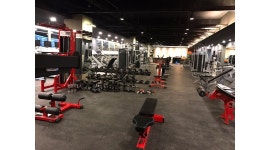 데일리짐 휘트니스 : [1호점퍼스널트레이너모집]영업지원210만원... 데일리짐 휘트니스 / [1호점퍼스널트레이너모집]영업지원210만원... 