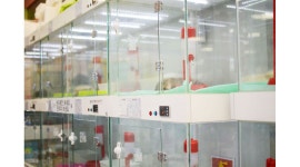 도그플러스 : 도그플러스 동물병원에서 오전 청소 아르바이트 구합니다 - 알바천국 [알바천국] 대구 북구 / 도그플러스 / 도그플러스... 