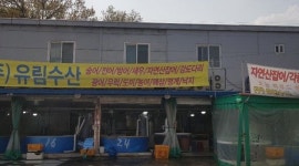 어업회사법인유림수산(주) : 하남(수산물센터) 알바,직원 모집합니다.(월300) - 알바천국 [알바천국] 경기 하남시 / 어업회사법인유림수산... 