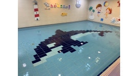 스타키즈그룹 남구점 : 남구점 스타키즈수영장 어린이차량운전기사님 구합니다. - 알바천국 [알바천국] 울산 남구 / 스타키즈그룹 남구점... 