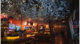 부산오뎅1250 : 점장구함.1250이자카야 - 알바천국 [알바천국] 전북 전주시 덕진구 / 부산오뎅1250 / 점장구함.1250이자카야 / 2,500,000원