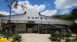 고구려밀크스쿨 : 주말 알바(설거지, 보조 , 청소) 업무 - 알바천국 [알바천국] 경기 파주시 / 고구려밀크스쿨 / 주말 알바(설거지, 보조 , 청소)... 