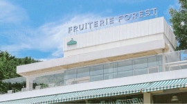 프루터리 포레스트 : 프루터리 포레스트점 주중,주말 아르바이트 모집... 프루터리 포레스트 / 프루터리 포레스트점 주중,주말 아르바이트 모집... 