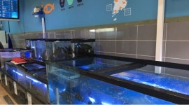 바다생협 문정점 : 회포장배달전문점 알바 1명 모집 - 알바천국 [알바천국] 서울 송파구 / 바다생협 문정점 / 회포장배달전문점 알바 1명 모집... 