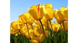 이마트24 역곡역점 : 월,화,수 오전(06시-11시)알바 모집(여) - 알바천국 [알바천국] 경기 부천시 / 이마트24 역곡역점 / 월,화,수 오전(06시... 