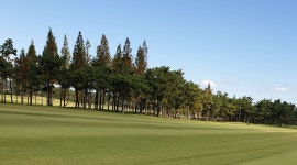 (주)신태진 : 저녁엔 꿀퇴근 합시다.22년 씨즌대비 인천국제컨트리클럽 골프캐디 대모집 - 알바천국 [알바천국] 인천 전체 / (주)신태진... 