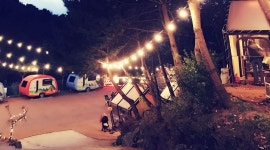 한마음정육식당와동점 : 알바 직원 한마음정육식당 와동점 근무하실분 구합니다 - 알바천국 [알바천국] 대전 전체 / 한마음정육식당와동점... 