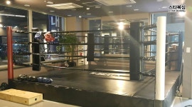 판교스타복싱 : 판교스타복싱에서 함께할 코치님을 모십니다... 전체 / 판교스타복싱 / 판교스타복싱에서 함께할 코치님을 모십니다 (초보가능)... 