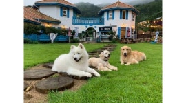 몬테 : 몬테(애견카페)에서 같이 일할 가족 찾습니다.~~ - 알바천국 [알바천국] 인천 강화군 / 몬테 / 몬테(애견카페)에서 같이 일할 가족... 