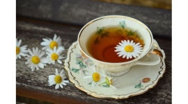 주원통운(주) : 마시는 TEA 배송 / 주5일/ 340만원/ 정년 없음 - 알바천국 [알바천국] 경기 포천시 / 주원통운(주) / 마시는 TEA 배송... 