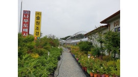 법인솔원 | 농업회사법인 (주)솔원 : 조경공사, 농장 및 판매장 관리 - 알바천국 [알바천국] 세종 전체 / 농업회사법인 (주)솔원 / 조경공사, 농장 및...