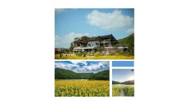 (주)바실라 : [경주 바실라카페]평일/주말 주방 보조 찬모 구합니다.... - 알바천국 [알바천국] 경북 경주시 / (주)바실라 / [경주 바실라카페]평일... 