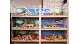 미니펫스토리 : 동물분양 및 용품판매점 - 알바천국 [알바천국] 대구 달서구 / 미니펫스토리 / 동물분양 및 용품판매점 / 9,160원