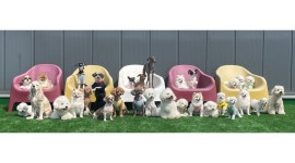 똥깡아지 : 똥깡아지 애견유치원에서 선생님 모집합니다. - 알바천국 [알바천국] 경기 화성시 / 똥깡아지 / 똥깡아지 애견유치원에서 선생님... 