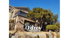 주식회사 제미(오드리) : +별내 오드리(O＇drey)+홀/주방 직원 모집합니다(일하기좋은곳) - 알바천국 [알바천국] 경기 남양주시 / 주식회사... 