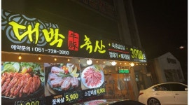 대박축산 : 저녁 알바 구합니다(미성년자 가능) - 알바천국 [알바천국] 부산 기장군 / 대박축산 / 저녁 알바 구합니다(미성년자 가능) / 9,500원