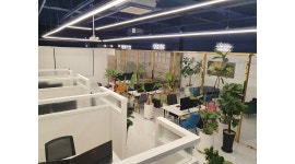 유한회사한강부동산중개법인 : (유) 한강부동산중개법인에서 성실하신 직원을 모십니다 - 알바천국 [알바천국] 전북 전주시 완산구 / 유한회사한... 