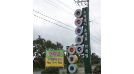 농업회사법인(주)캔디원 : [캔디원에서 체험직원을 모집합니다]... (주)캔디원 / [캔디원에서 체험직원을 모집합니다] 초보자분도 환영합니다 / 9...