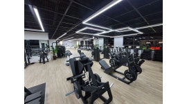 화이트애플스포츠 : 울산 프리미엄 헬스장 화이트애플 오전 트레이너/인포 구인구직 - 알바천국 [알바천국] 울산 남구 / 화이트애플스포츠... 