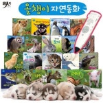 [천재교육] 프리미엄 돌잡이 한글 세트(세이펜 기능 적용) : 세이펜 미포함 [CD3장포함] [전20권]