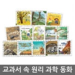 연두비- 교과서속원리과학동화  13권