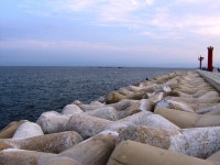 [알라딘서재]영덕에서 대게를 먹다...