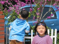 [파란 운동화] : 알라딘