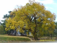[알라딘서재]문학기행, 윤선도를 찾아 해남으로~ 문학기행, 윤선도를 찾아 해남으로~