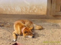 [알라딘서재]문학기행, 윤선도를 찾아 해남으로~ 문학기행, 윤선도를 찾아 해남으로~