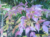 [알라딘서재]문학기행, 윤선도를 찾아 해남으로~ 문학기행, 윤선도를 찾아 해남으로~