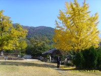 [알라딘서재]문학기행, 윤선도를 찾아 해남으로~ 문학기행, 윤선도를 찾아 해남으로~