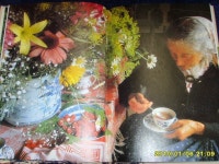 [알라딘서재]타샤의 정원, 구경하기엔 좋지만 가꾸는 건 보통 일이 아닐 듯 타샤의 정원, 구경하기엔 좋지만 가꾸는 건 보통 일이 아닐 듯