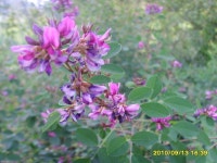 [알라딘서재]파주 출판단지와 헤이리